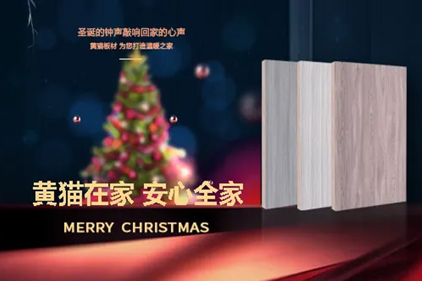 黃貓板材 | 溫暖圣誕，黃貓相伴